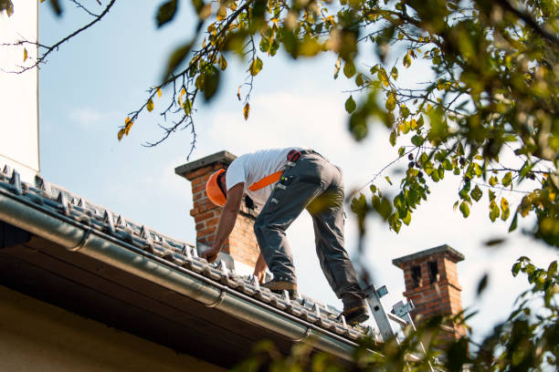 Best Gutter Installation and Roofing  in Interlaken, CA