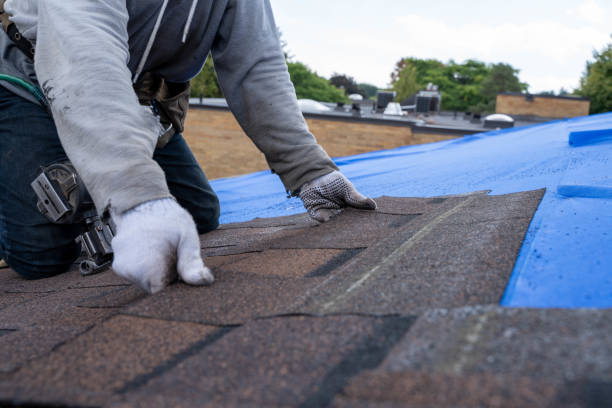 Best Roof Restoration Services  in Interlaken, CA
